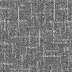 focus-6774