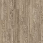 light-elm-4034