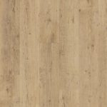 shoreline-oak