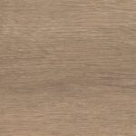 charming-oak-nature-1277