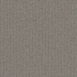 4199001-colletino