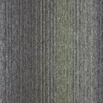 4309005-olive
