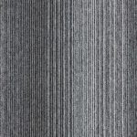 4309007-silver