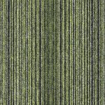 4271009-segment