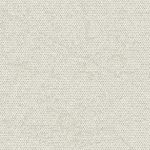 4282021-oatmeal