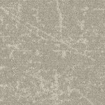 4282022-mushroom