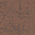 4282028-drylands