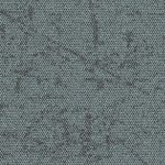 4282032-agave