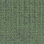 4282034-moss