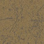 4282036-dune