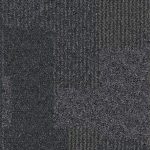 1628010-fern