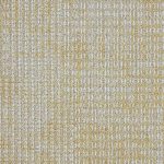 4310003-honey