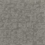4290007-dove