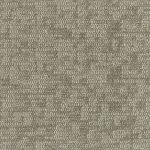 4290008-parchment