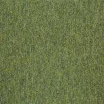 20201-guyana-moss