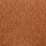 20279-madagascan-orange