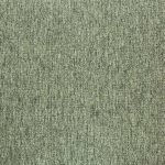 20282-greenland-fern