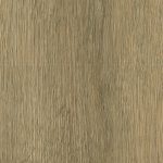 charming-oak-nature-1277